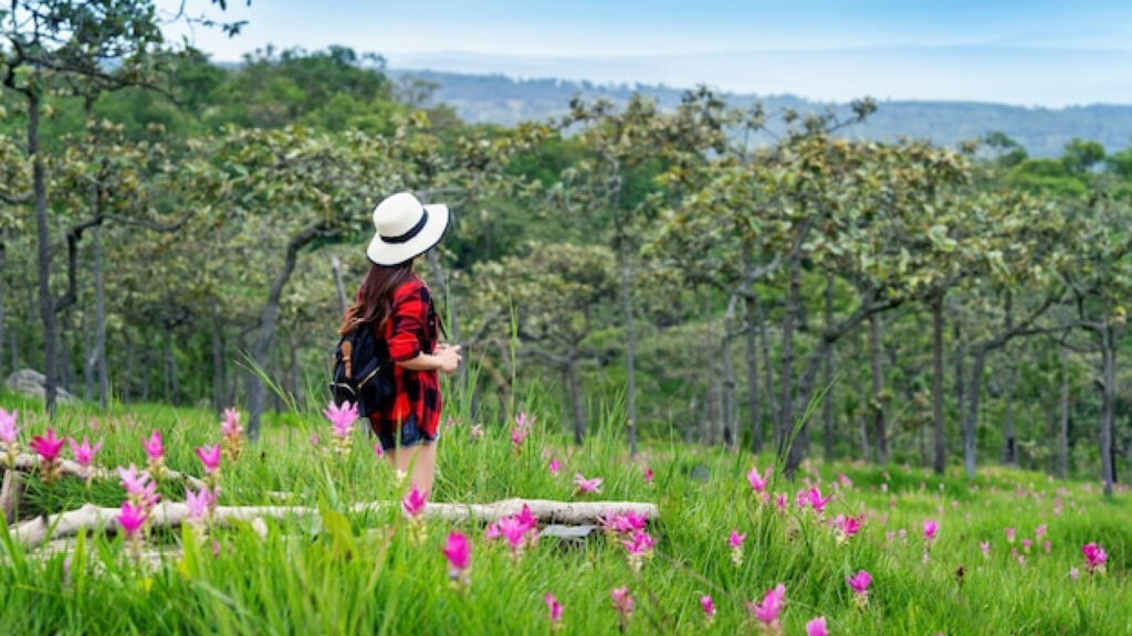 Randonnées et nature : votre guide des parcs régionaux au printemps