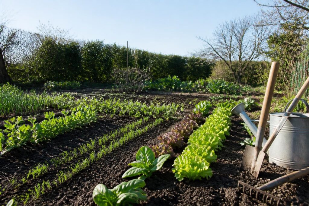 découvrez les meilleures astuces pour réussir votre potager en mars et savoir quelles plantes semer ou planter sans faire d’erreur.