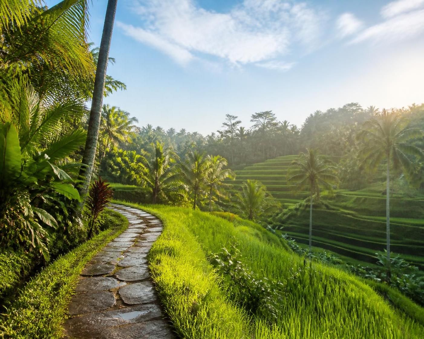 découvrez la meilleure période pour visiter bali et profiter d'un temps sec, loin de la pluie, afin d'optimiser votre séjour sur cette île paradisiaque.