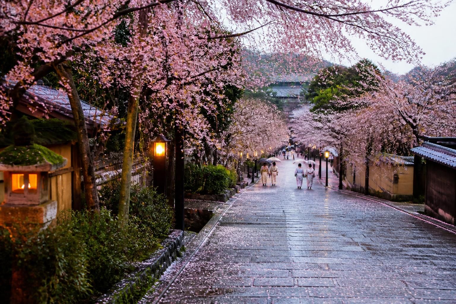 Quand partir au Japon, des cerisiers aux érables 2 découvrez les meilleures périodes pour visiter le japon, de la floraison des cerisiers au printemps aux couleurs éclatantes des érables en automne.