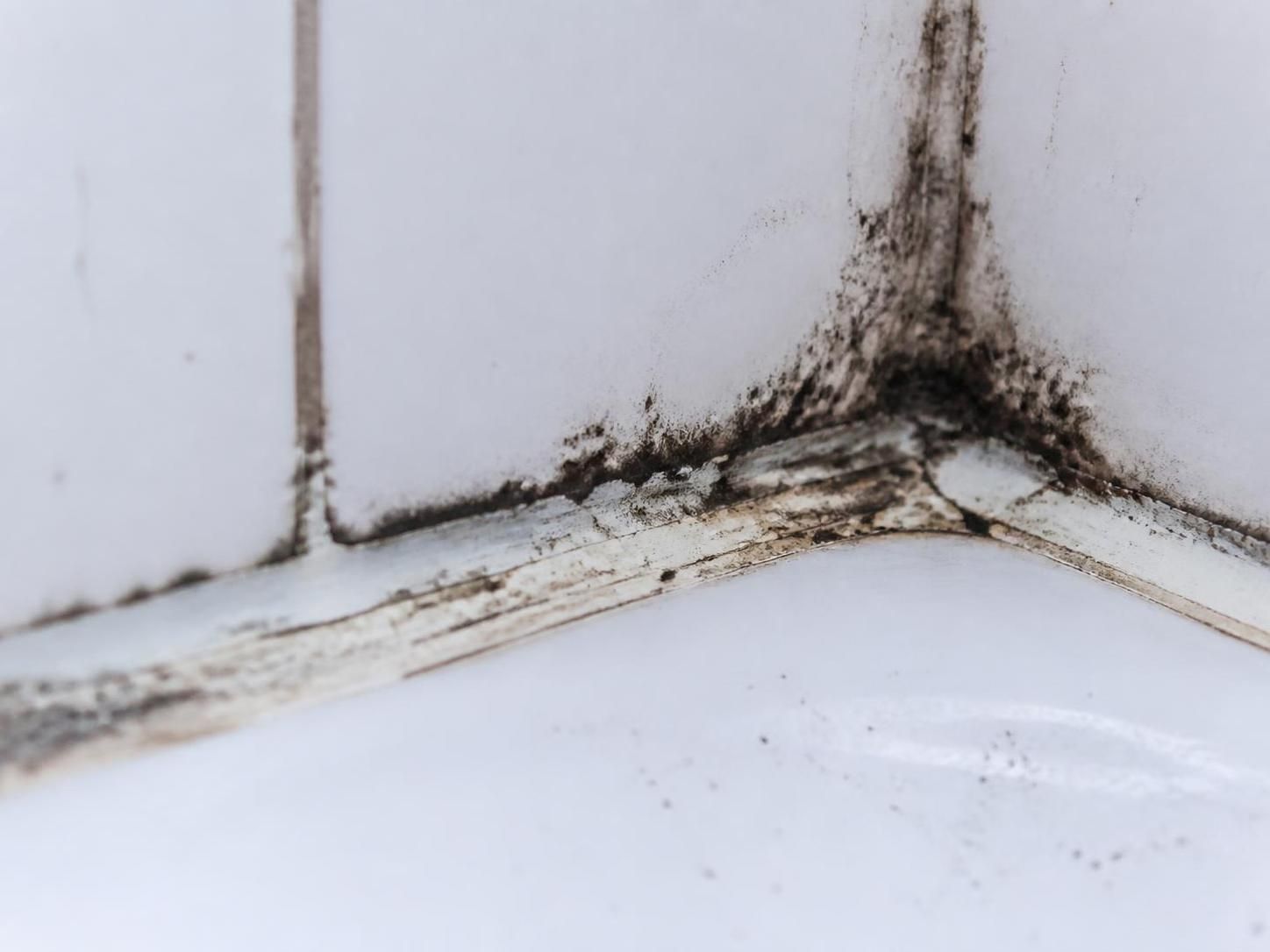 découvrez comment récupérer ou refaire un joint de salle de bain noirci pour retrouver une salle propre et saine. conseils pratiques et astuces efficaces pour un résultat impeccable.